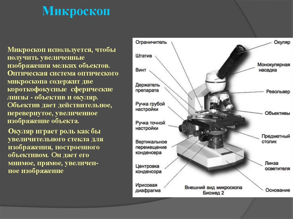 Какую функцию выполняет основа микроскопа
