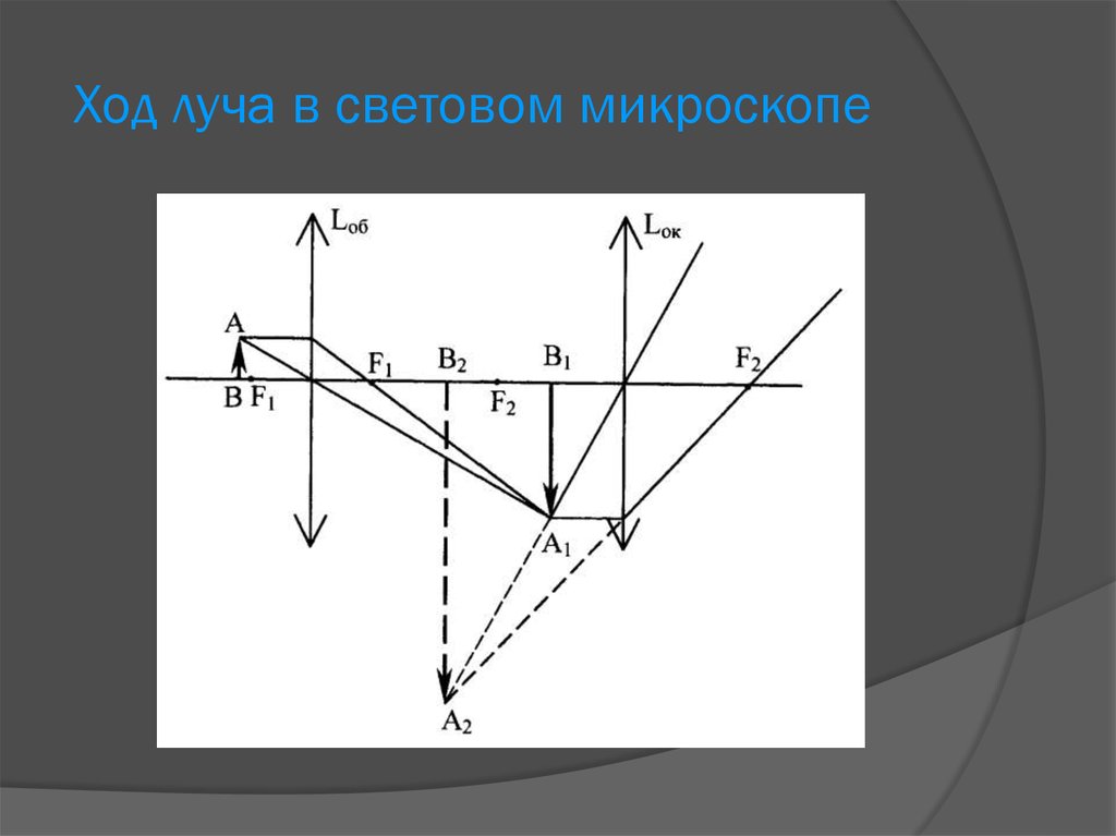 Построение изображения микроскопа