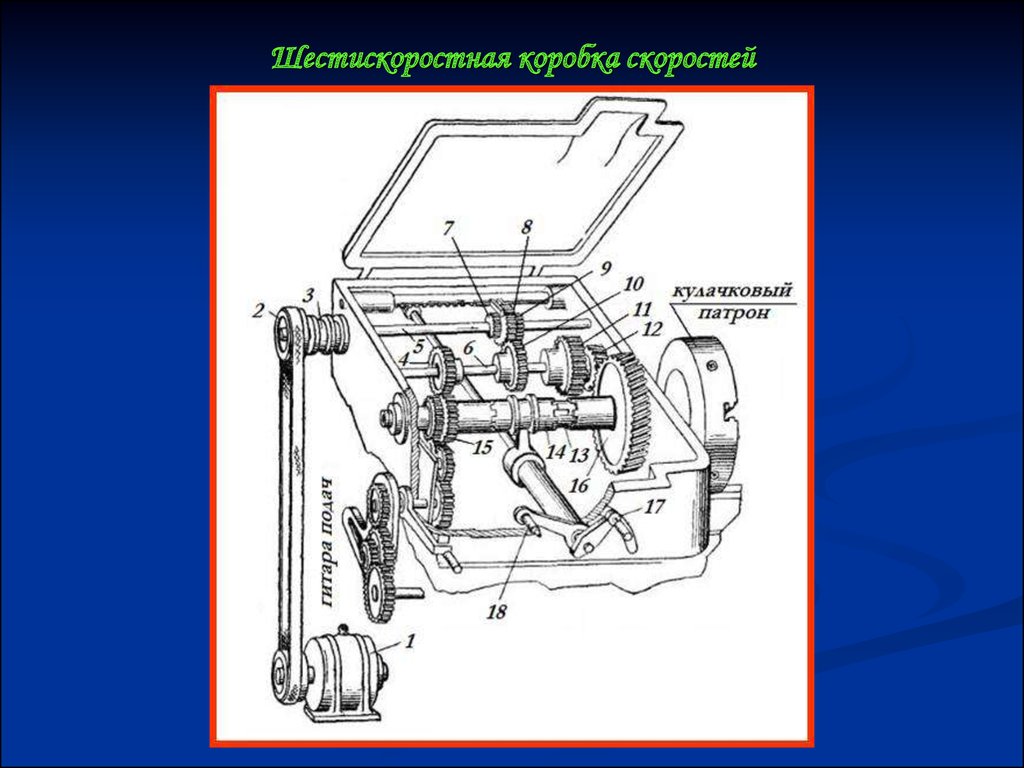 view toxaemias of pregnancy human and veterinary 1950