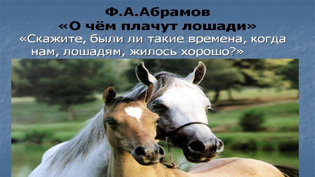 О чем плачут лошади читать краткое. Абрамов лошади. Обложка книги о чем плачут лошади. Почему плачут лошади.