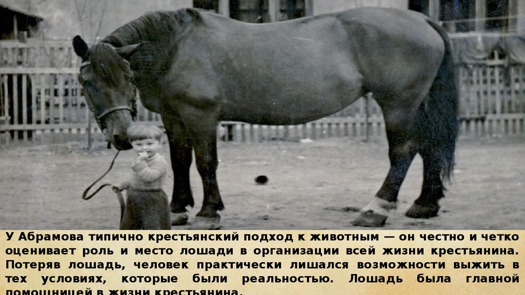 В каком году о чем плачут лошади. Фёдор Александрович Абрамов о чём плачут лошади. Рассказ Абрамова о чем плачут лошади. Лошадь плачет. Плачущая лошадь.