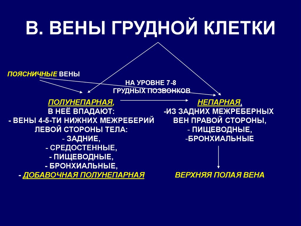 Грудные вены. Венозный отток от грудной клетки. Вены грудной клетки схема. Непарные вены грудной клетки.