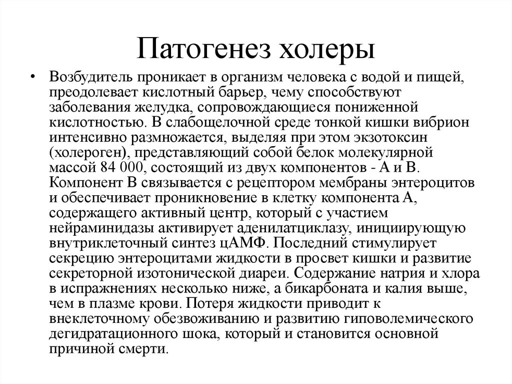 При холере ответ. Патогенез холерного вибриона. Патогенез холеры микробиология. Вибрио холера патогенез. Холерный вибрион клиника патогенез.