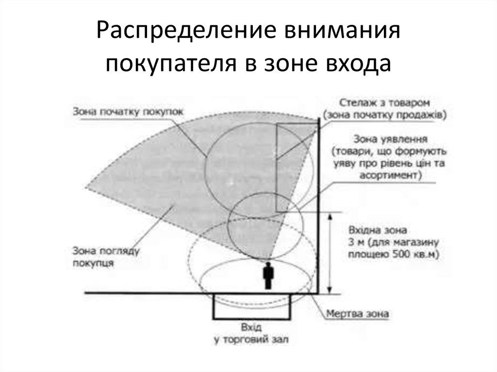 В зоне внимания. Как распределяется внимание на странице. Распределение внимания при полетах по приборами. Как распределяется внимание карта. Распределение внимание на сайте.