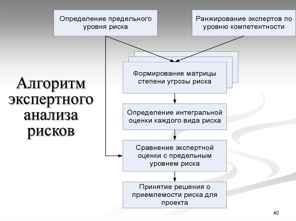 Экспертный риск