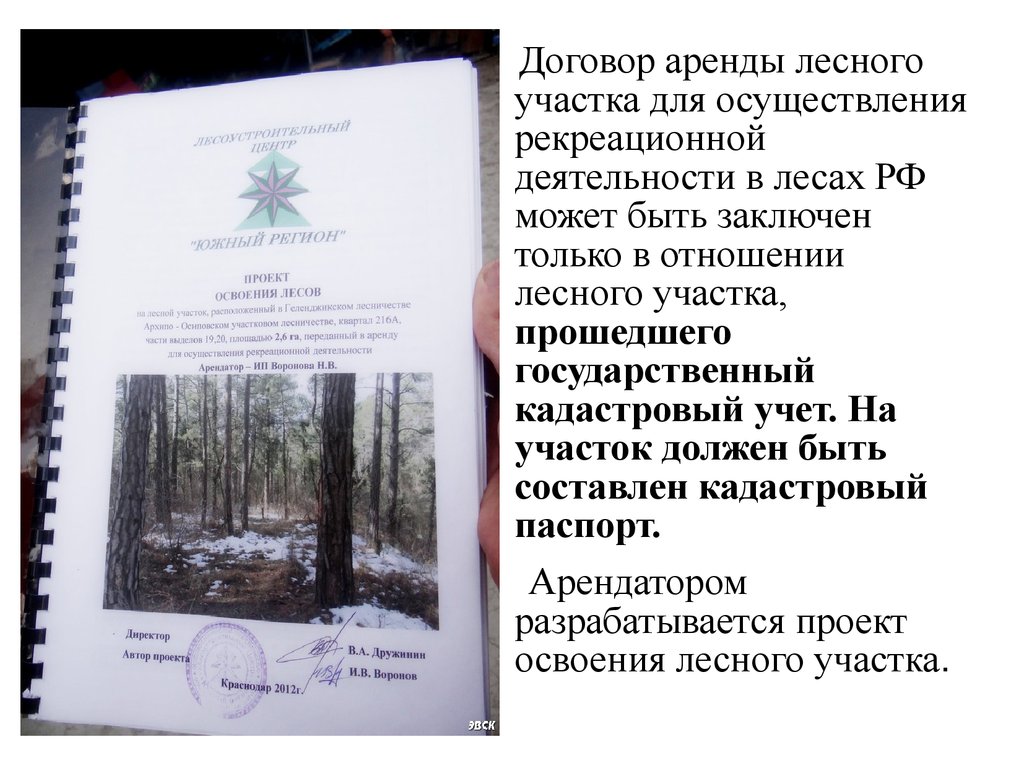 Рекреационных лесных участках. Проект освоения лесов. Осуществление рекреационной деятельности в лесах. Проект освоения лесного участка. Проект рекреации лесного участка.