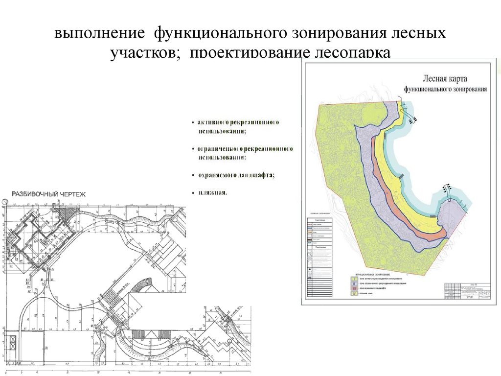 Схема функционального зонирования участка