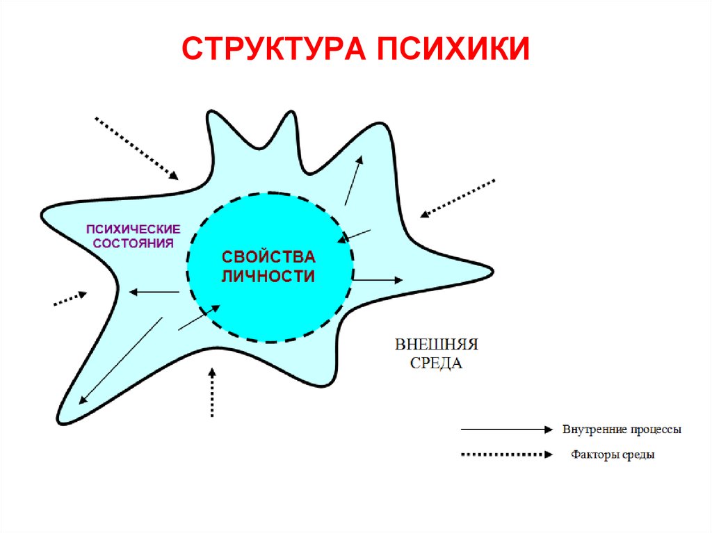 Структура психики человека схема