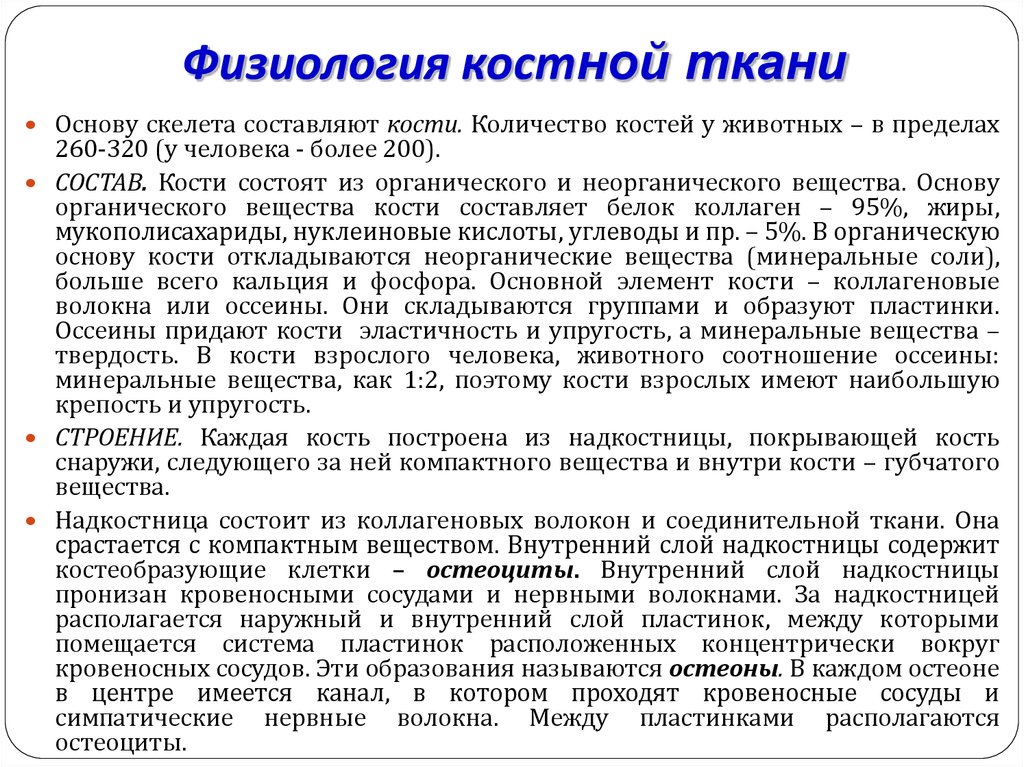 Физиология костной ткани. Минеральные вещества костной ткани. Ткани составляющие кость. Ткань, составляющая основу скелета.