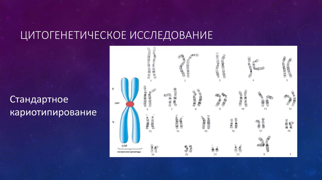 Последовательность хромосом. Цитогенетический метод изучения кариотипа. Цитогенетический метод кариотипирование. Цитогенетические методы анализа кариотипа. Цитогенетическое исследование кариотип.