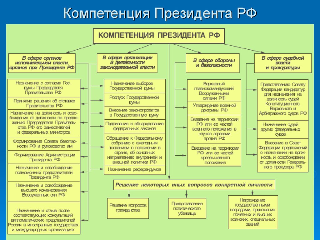 Гражданство развернутый план