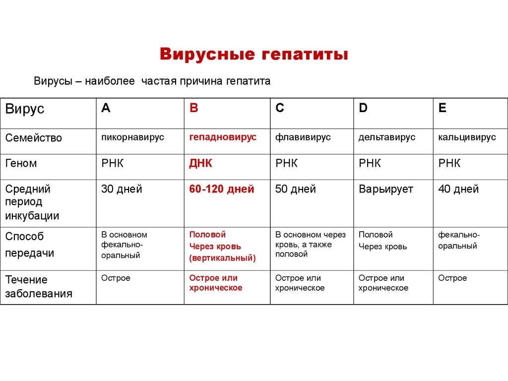 Гепатиты а в с д е