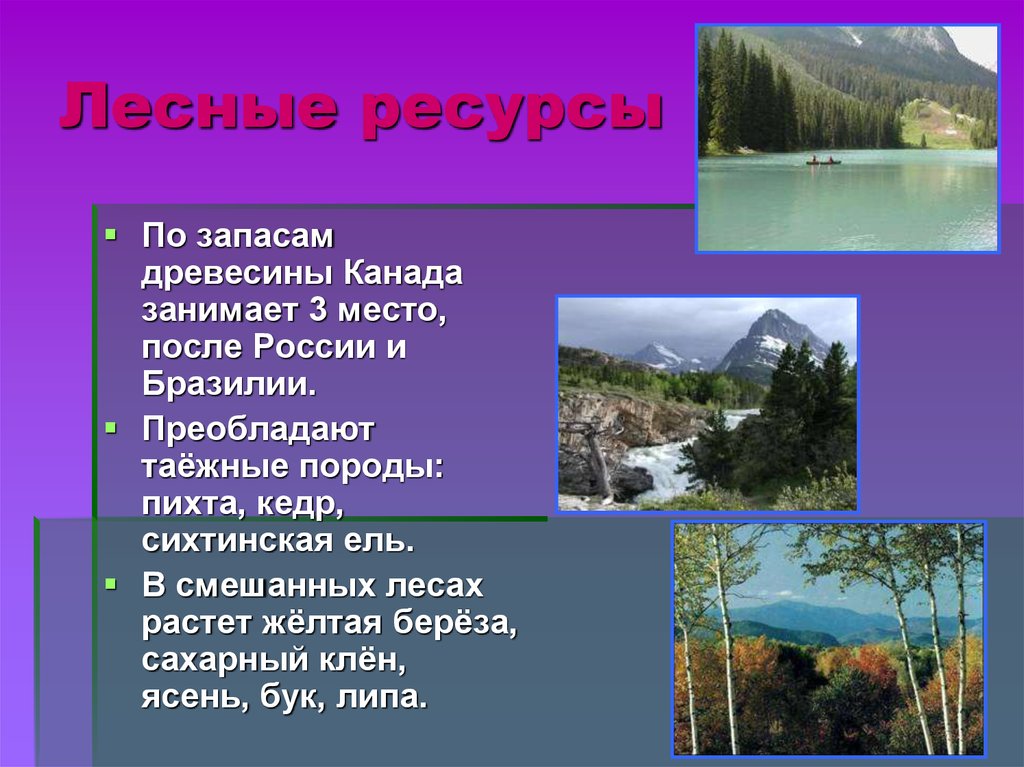 Ресурсы канады. Природные ресурсы Канады Лесные. Водные ресурсы Канады. Водные и Лесные ресурсы Канады. Природные ресурсы Канады водные.