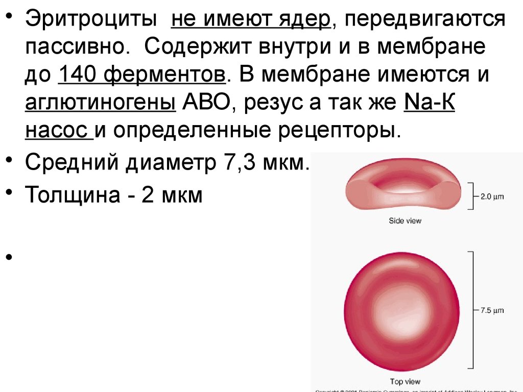 Особенность картины периферической крови при висцеральной форме лейшманиоза