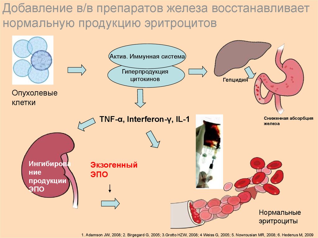 Схема железа