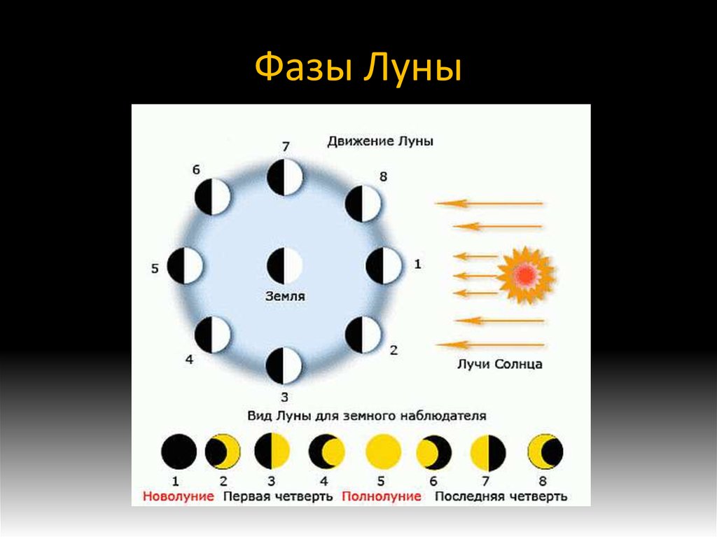 На схеме показаны 8 положений земли и луны