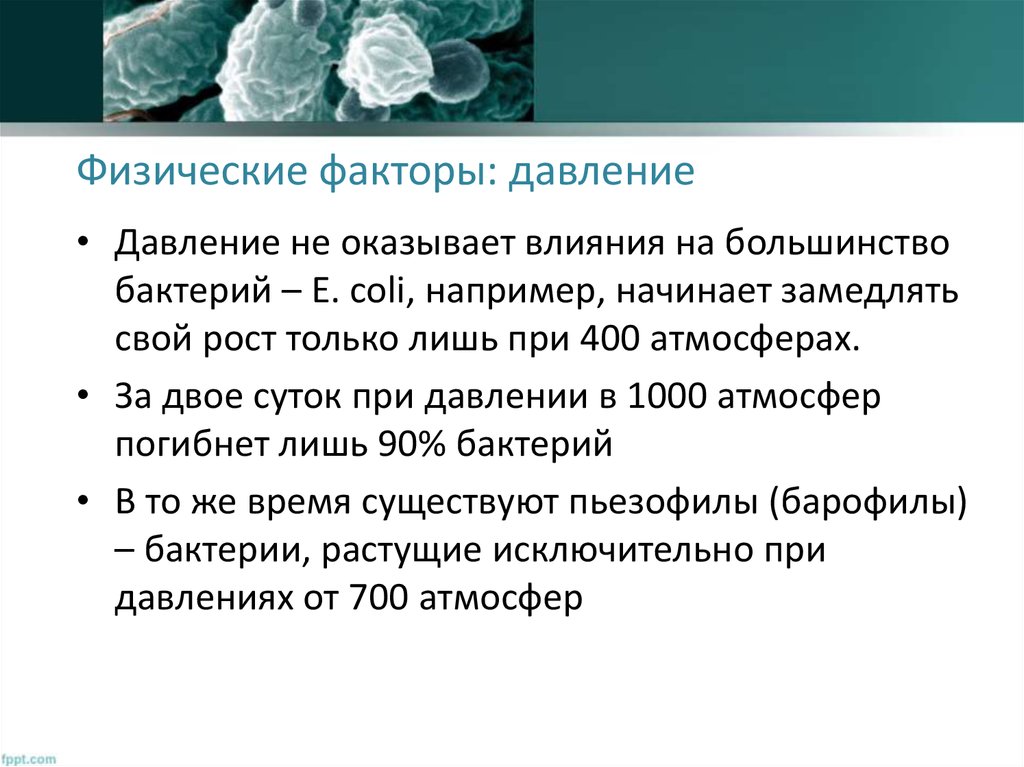 Физические факторы: давление