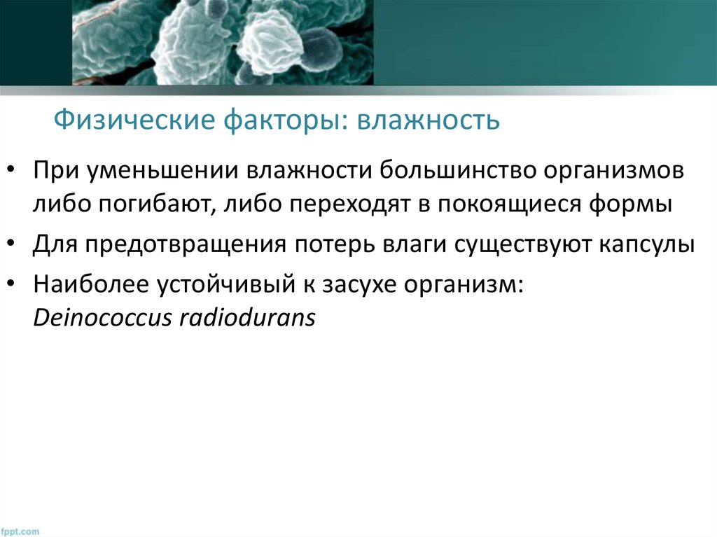 Физические факторы: влажность