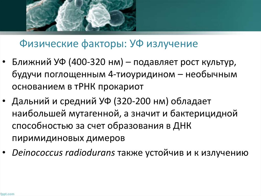 Физические факторы: УФ излучение