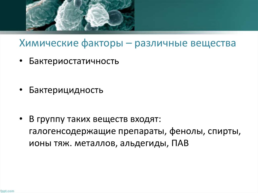 Химические факторы – различные вещества