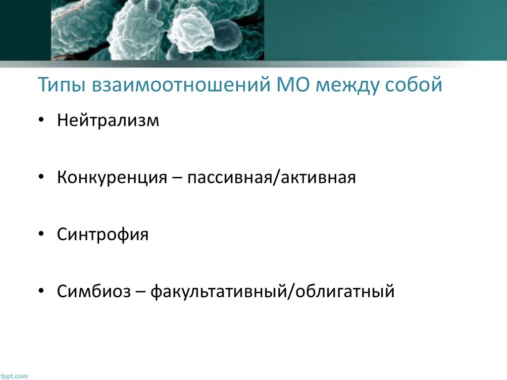 Типы взаимоотношений МО между собой