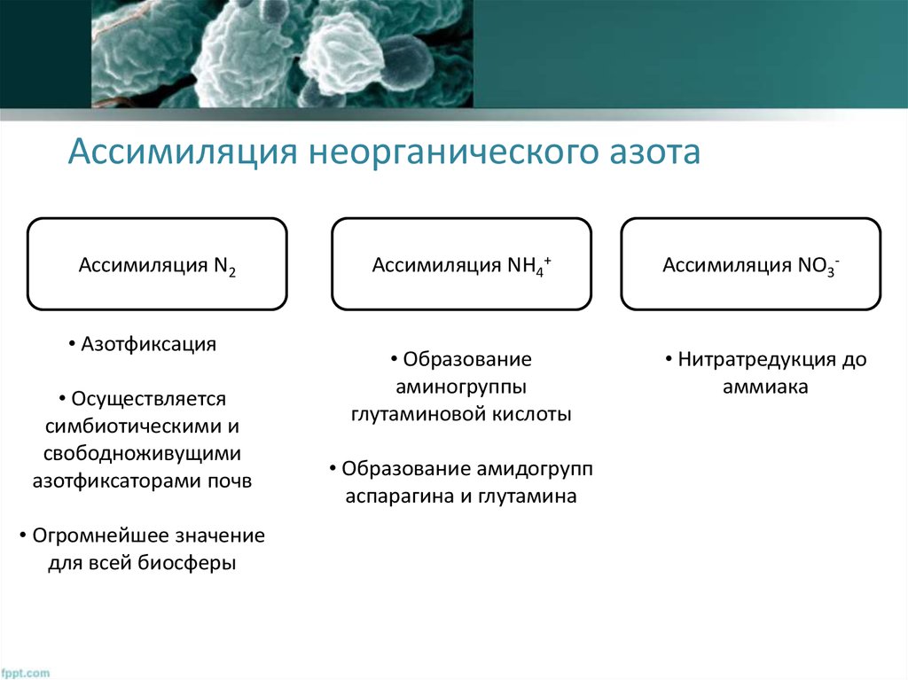 undefined undefined