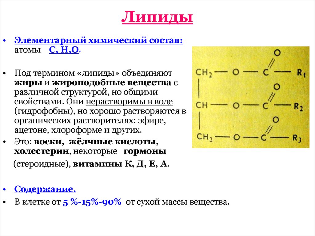 Общий признак липидов