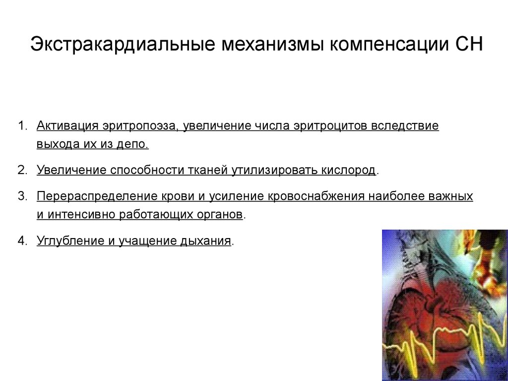 Увеличение способности. Экстракардиальные механизмы компенсации. Активация эритропоэза. )Экстракардиальные механизмы компенсации ХСН. Кардиальные и экстракардиальные причины ХСН.