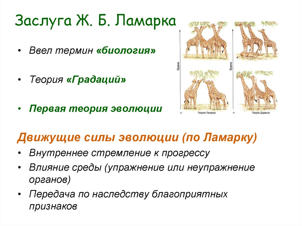 Эволюционная теория ламарка презентация