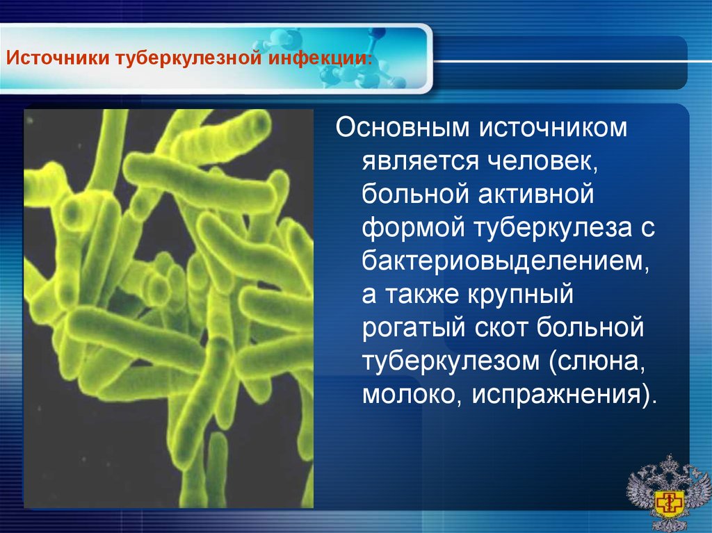 Какая форма туберкулеза наиболее опасна в эпидемиологическом плане