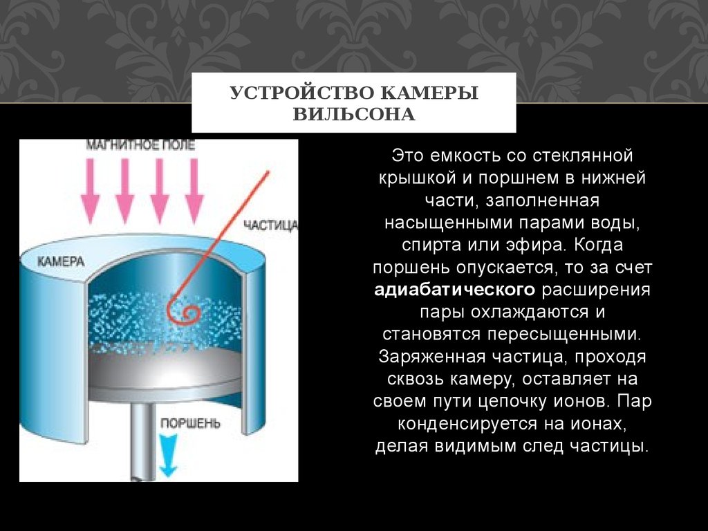 Камера вильсона презентация