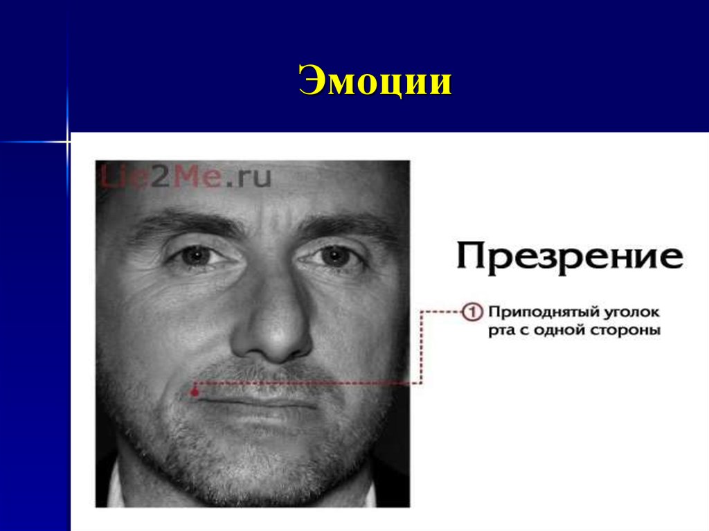 Призрение старых. Презрение эмоция. Призрение. Портрет презрение. Вид эмоции презрение.