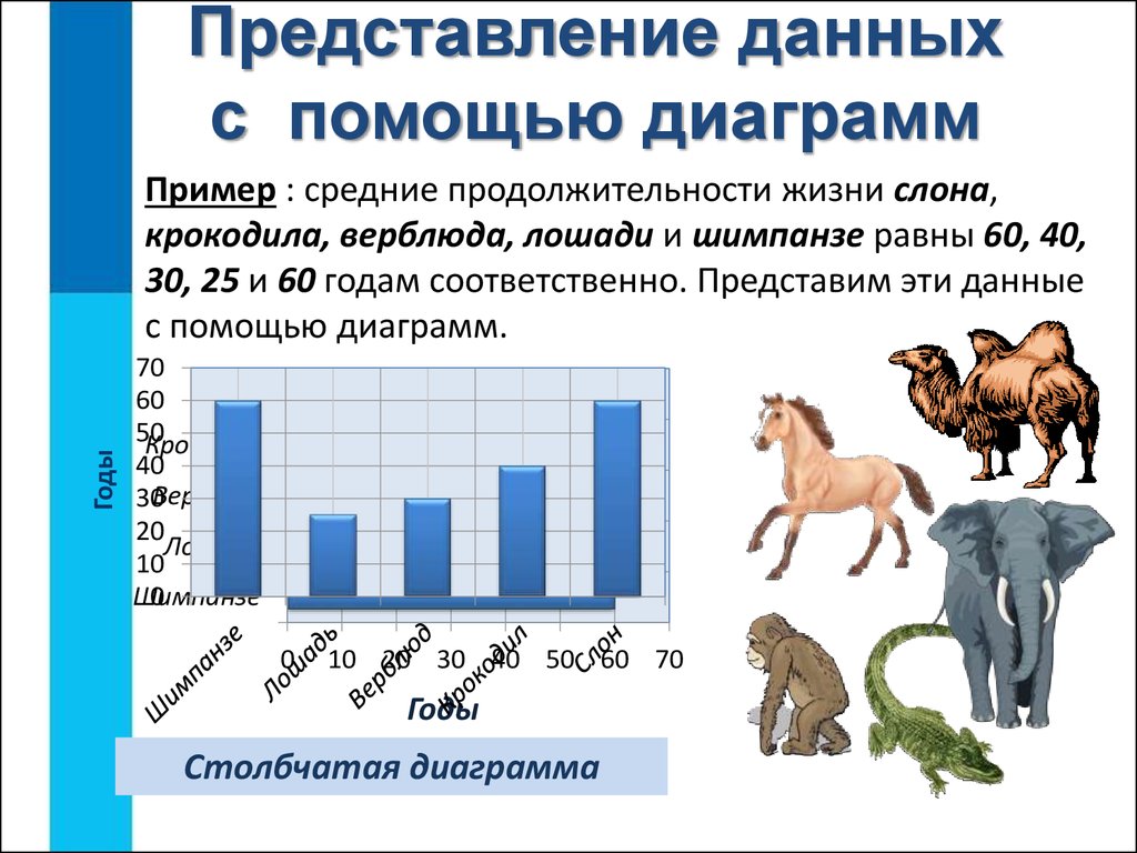 Представление числовой информации на графиках. Столбчатая диаграмма Продолжительность жизни животных. Представление данных с помощью диаграмм. Средняя Продолжительность жизни слона. Продолжительность жизни лошади.