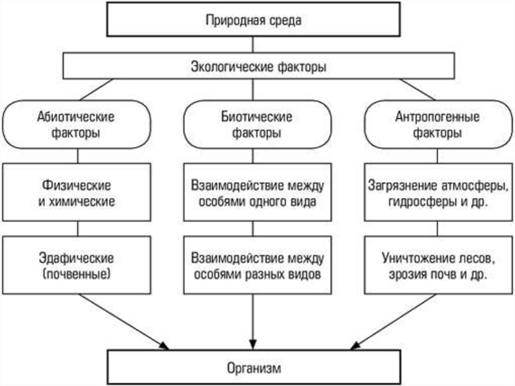 Схема классификации экологических факторов