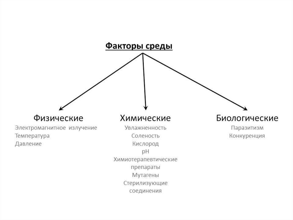 Физическое биологическое. Физические и химические факторы окружающей среды. Факторы окружающей среды химические физические биологические. Биологические факторы внешней среды. Физико-химические факторы среды.