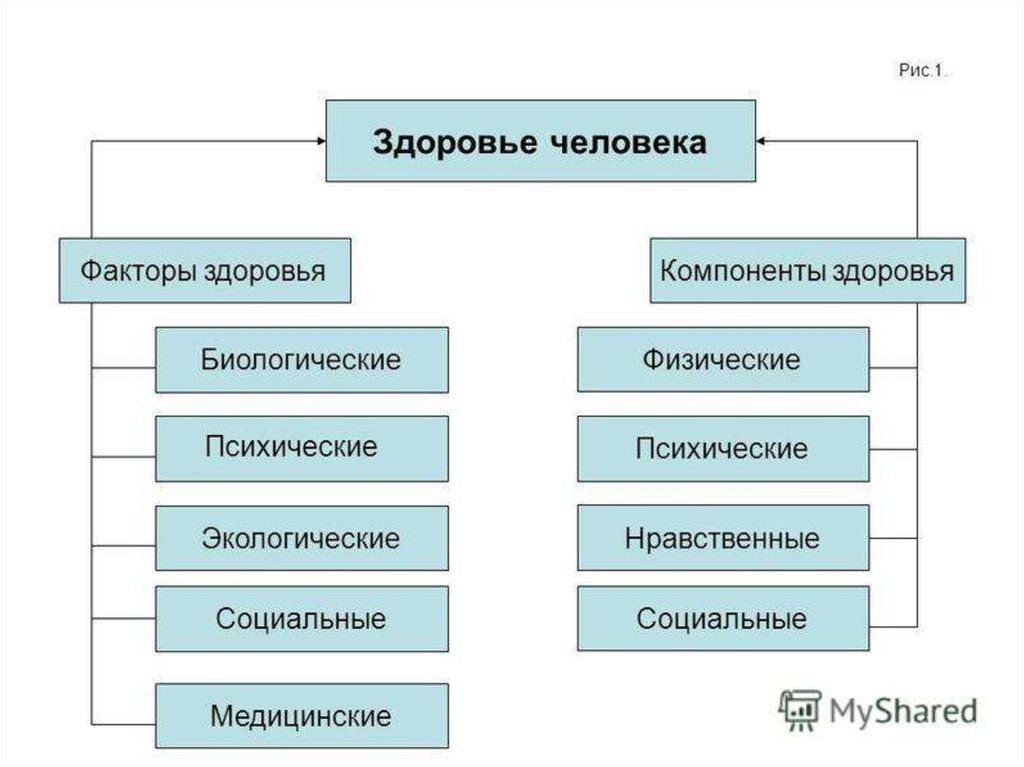 Факторы общественной жизни. Факторы окружающей среды влияющие на здоровье человека таблица. Факторы личные зависящие от человека. Компоненты и факторы здоровья. Факторы здоровья человека схема.