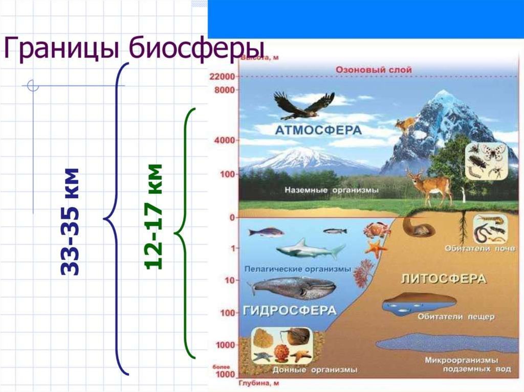 Описание гидросферы пользуясь планом описания литосферы на странице 70 задание 2