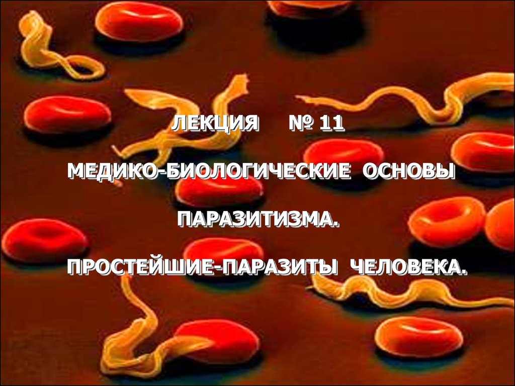 Паразитические простейшие презентация