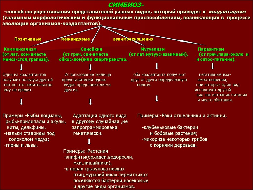 Виды сожительства организмов. Виды симбиоза. Виды симбиоза с примерами. Виды симбиоза таблица. Симбиоз виды взаимоотношений.