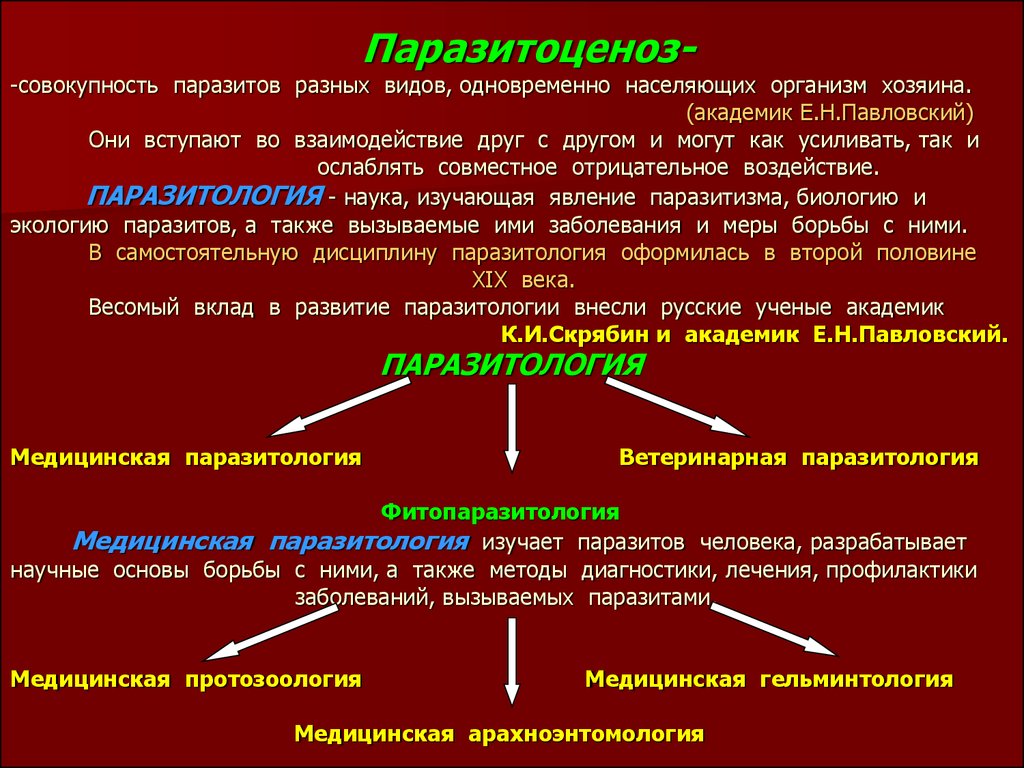 Характеристика паразитов