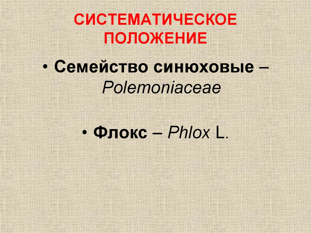 СИСТЕМАТИЧЕСКОЕ ПОЛОЖЕНИЕ