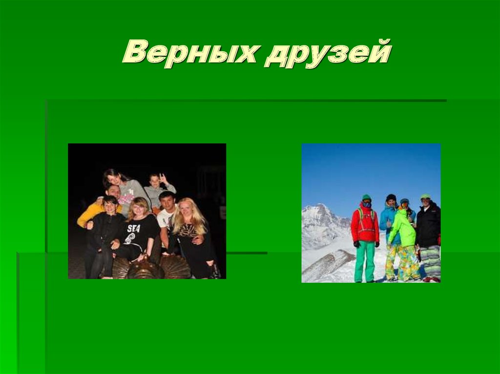 Верных друзей