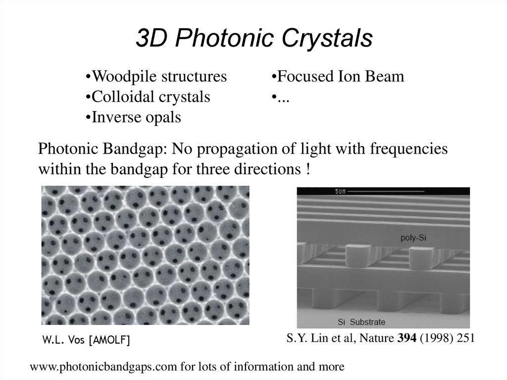 Focus structures