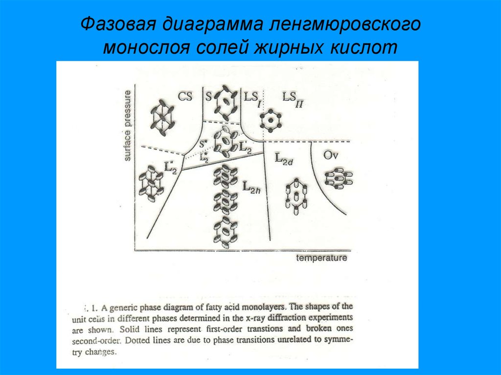 Соли жирных кислот. Фазовая диаграмма жидких кристаллов. Трактовка фазовых состояний монослоя.