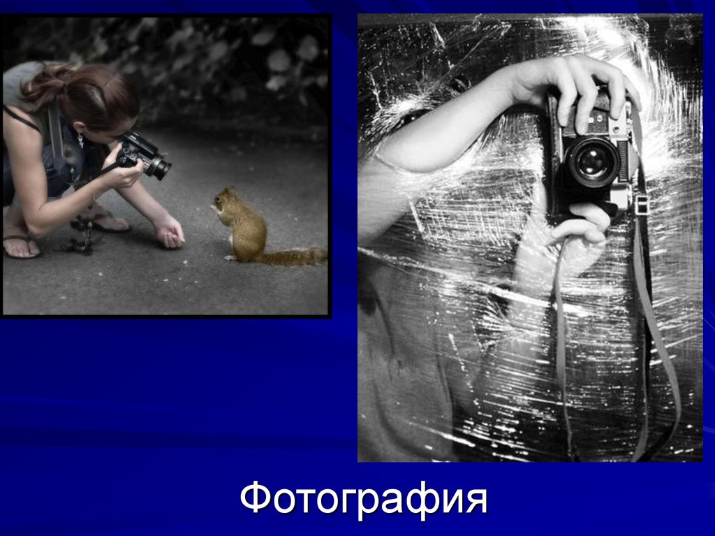 Что такое фотография как вид искусства