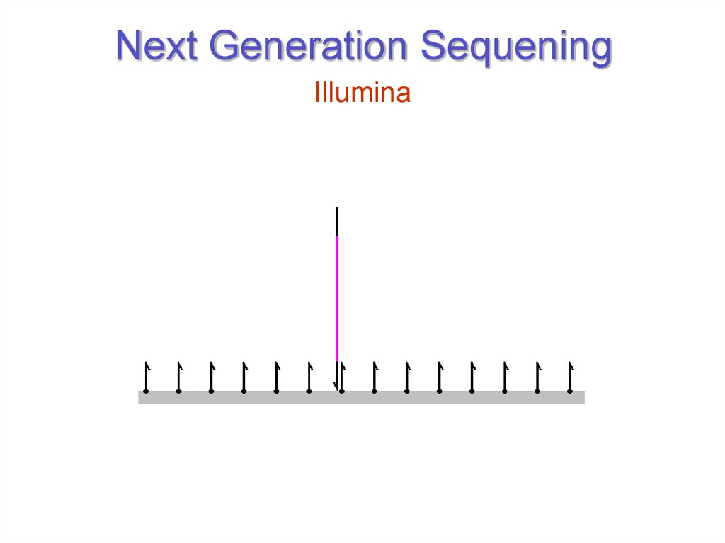 Next Generation Sequening
