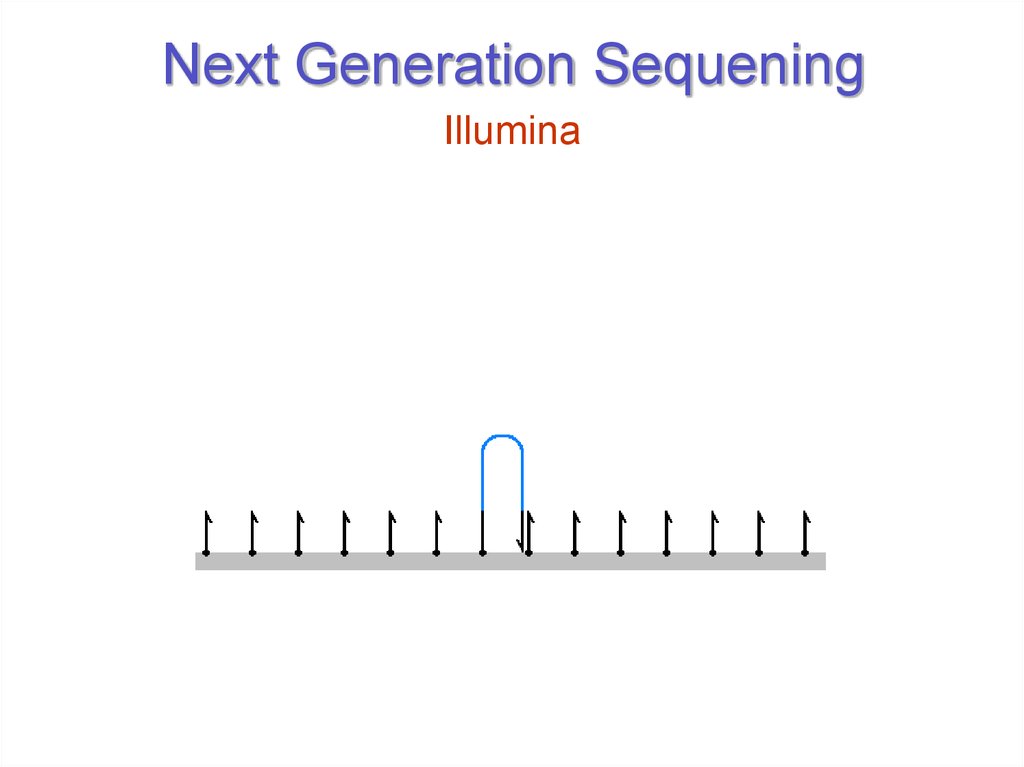 Next Generation Sequening