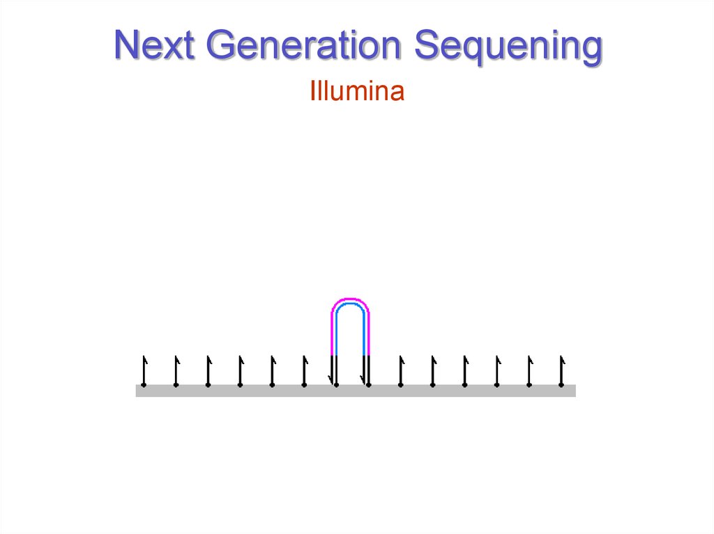 Next Generation Sequening