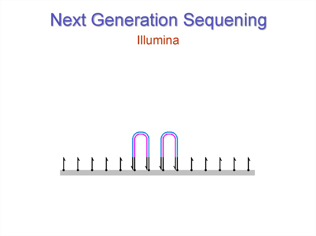 Next Generation Sequening