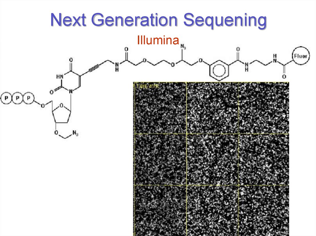 Next Generation Sequening